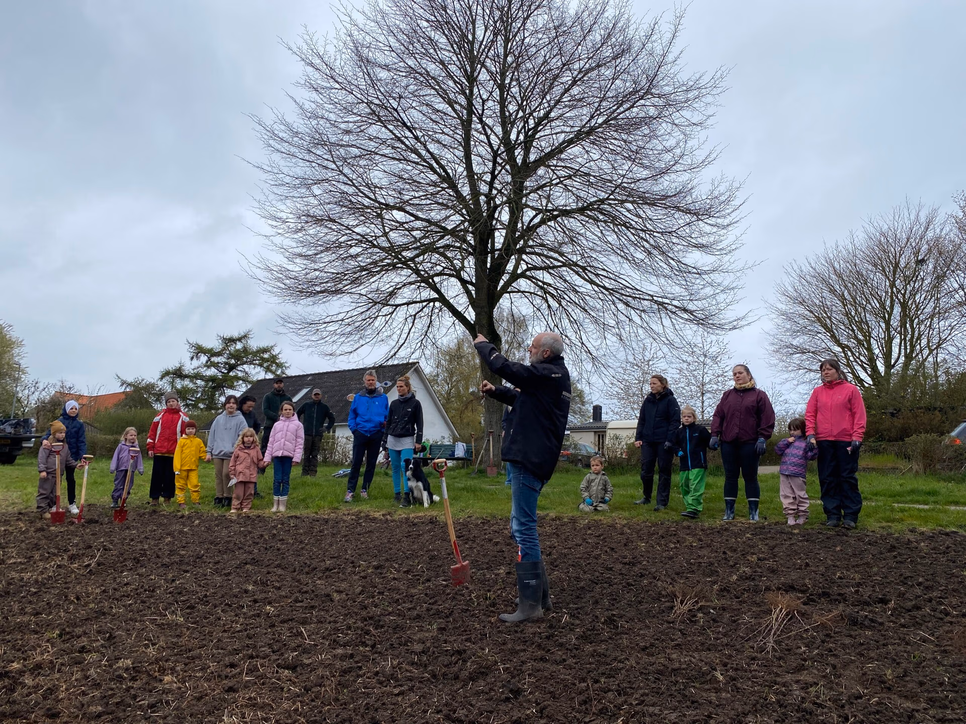 skoleskoven hos 2030skov