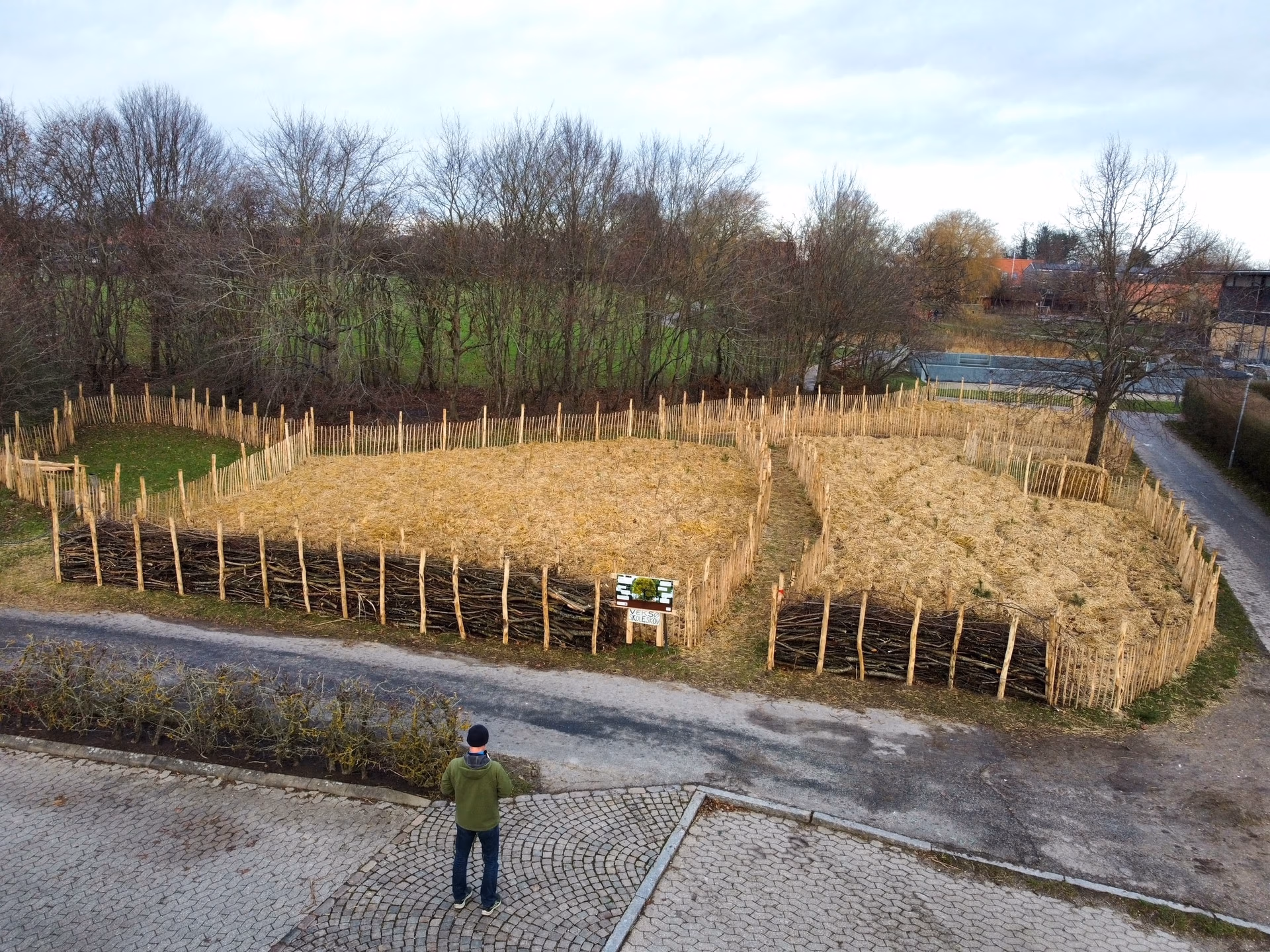 biodiversitetsskov hos 2030skov