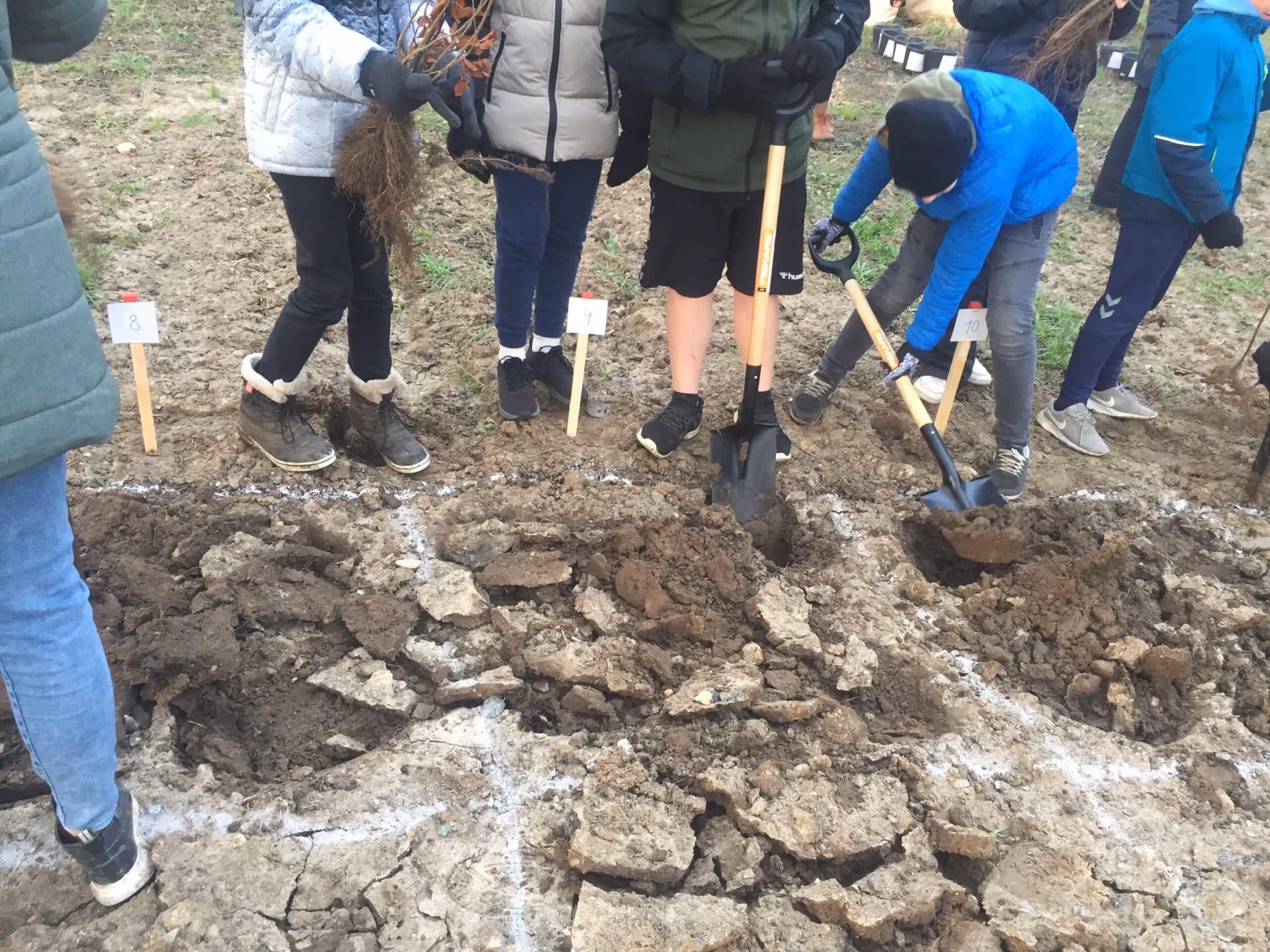 ejby skoleskov lavet på Miyawaki metoden