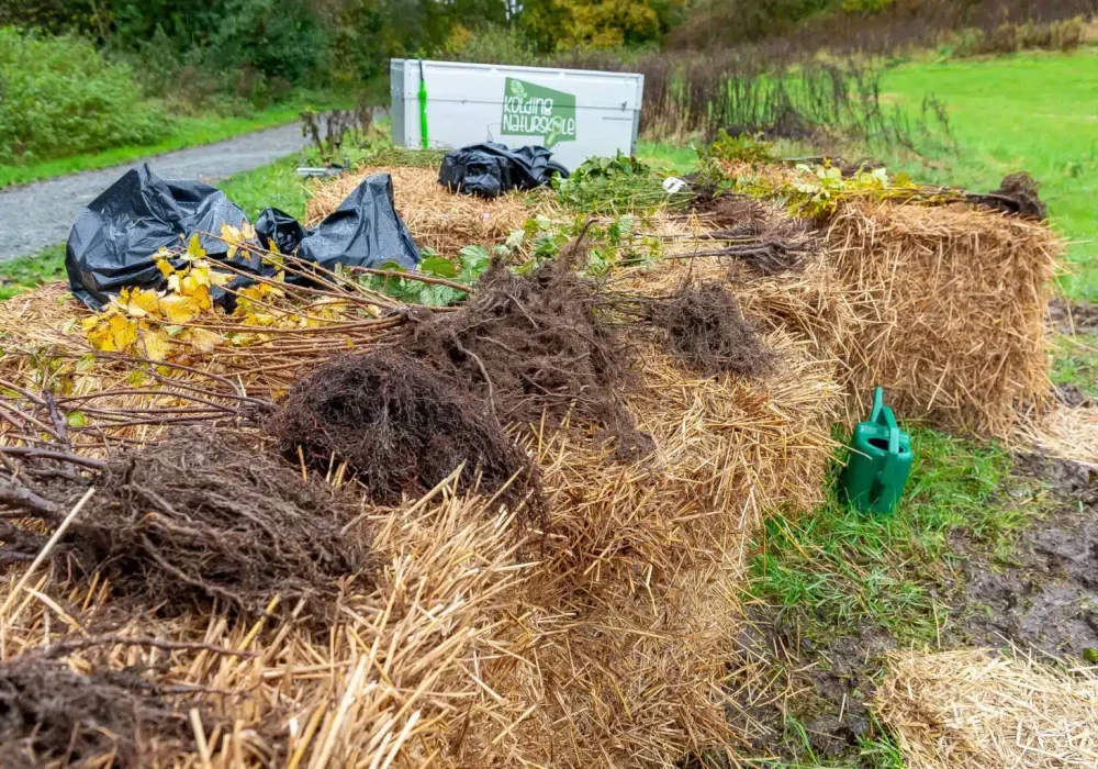 311023-Bakkeskolen-planter-skov-03-foto-BlumePress-1536x1024