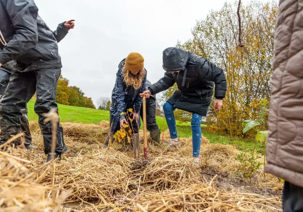 311023-Bakkeskolen-planter-skov-05-foto-BlumePress-1536x1024
