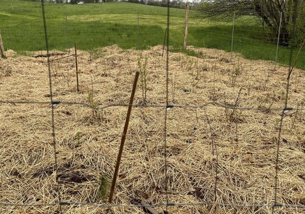 438738381_10169368045360131_3076917125318865963_n