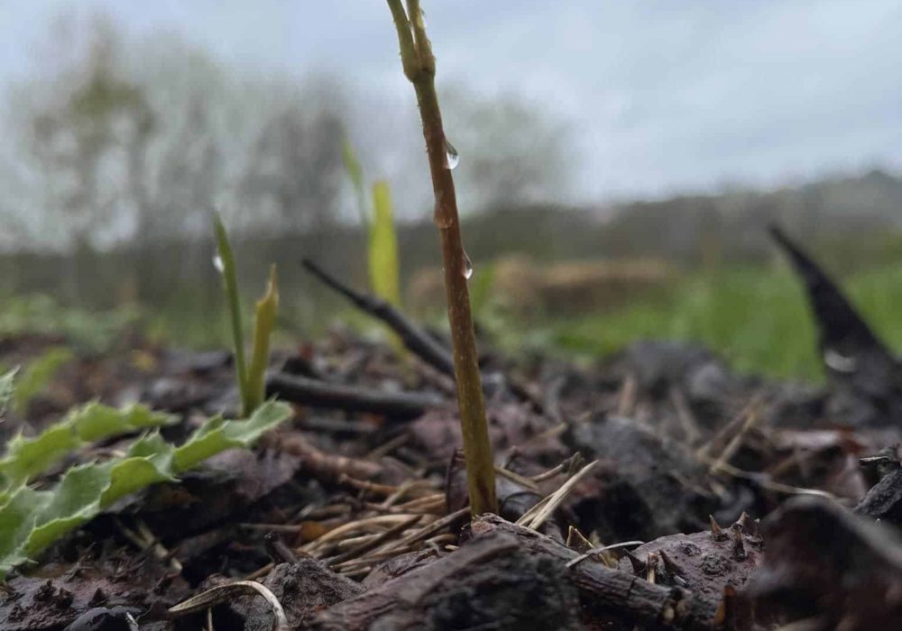 438821950_10169368045430131_1568374758863986639_n