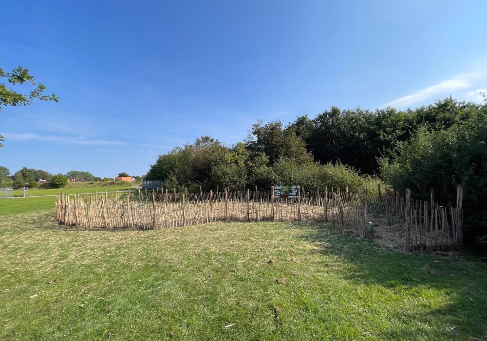 545648516_798636982514625_3203995497222686228_n