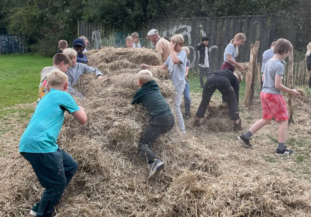 545823928_798640965847560_3222886450296762913_n