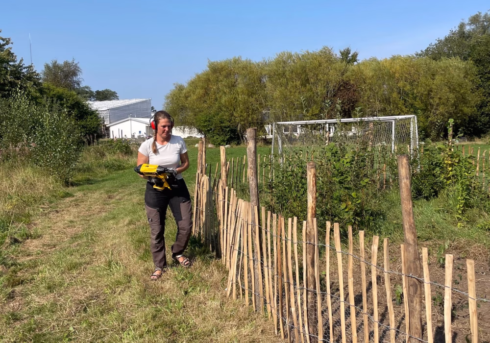 545922200_798637032514620_1712527307404008896_n