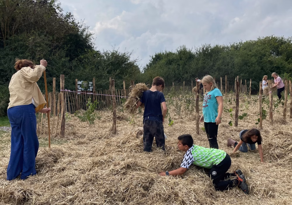 546251605_798637015847955_2417263554685764861_n