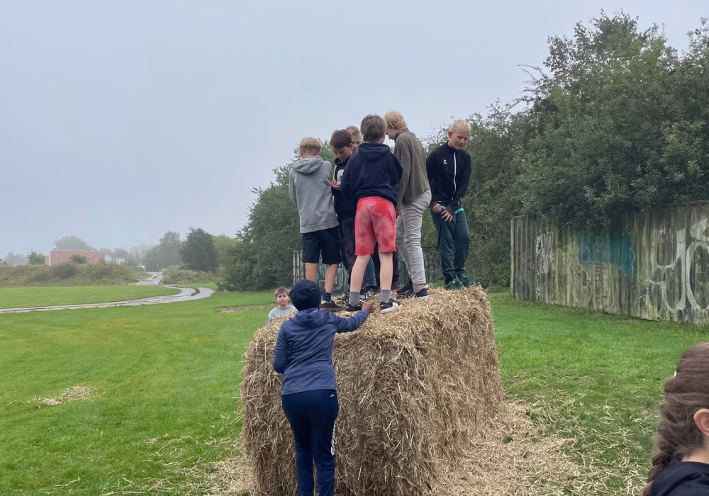 546299279_798636965847960_7140699563301525807_n