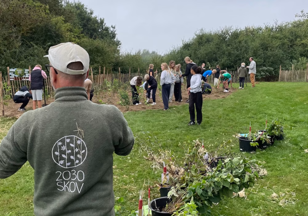 546611824_798640935847563_3395244777425071557_n