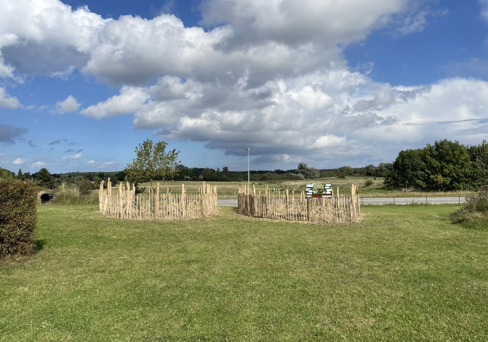 546624850_10215183446056455_7918570771733975348_n