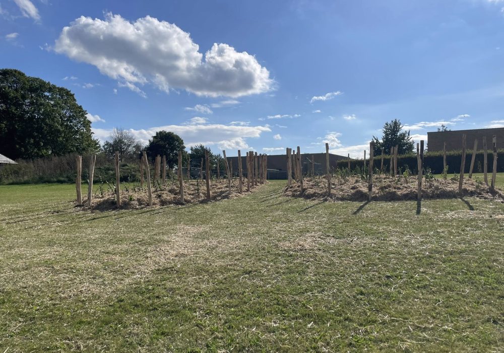 547255083_10215183446576468_6815584580819241431_n