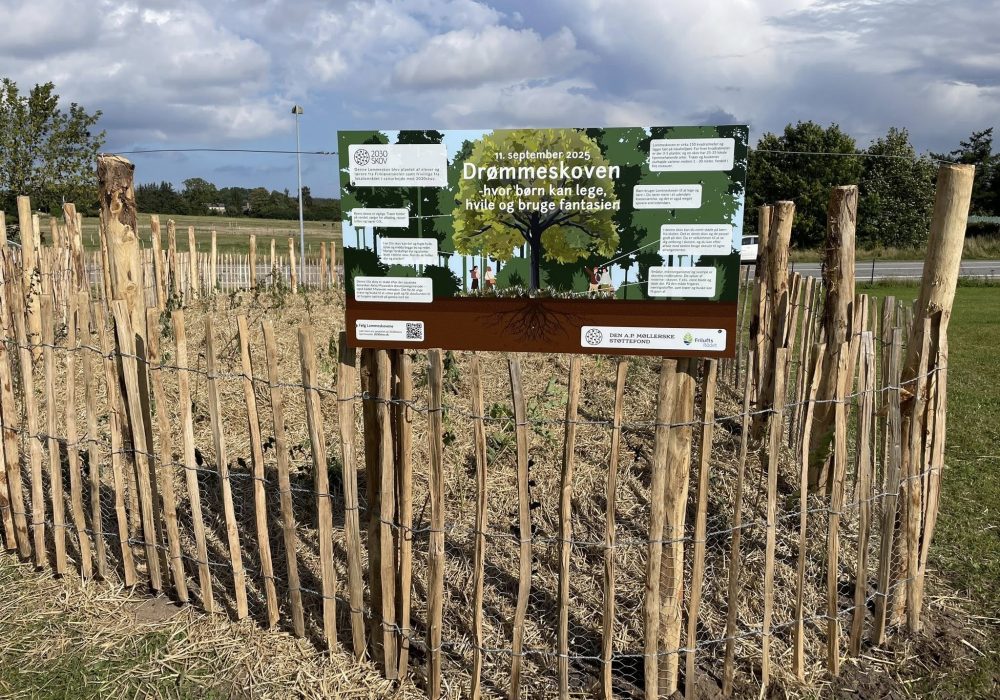 547255409_10215183445976453_2906303756259795986_n