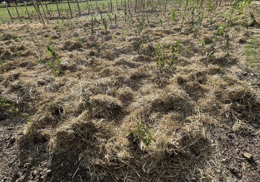 555297585_10215261442086307_9173694226551930108_n