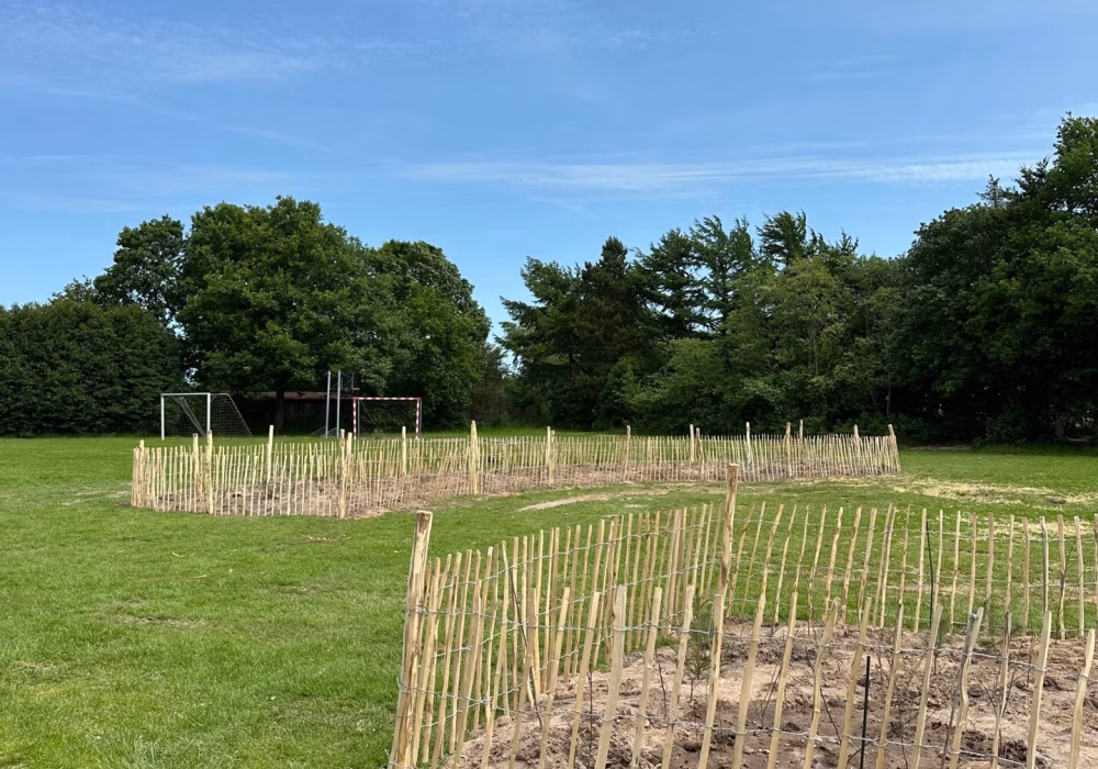 C792CA78-BB27-4E9A-AB59-F1FBC3D66035