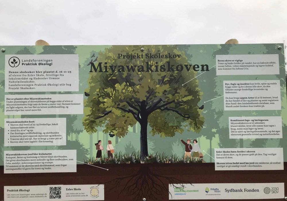 Erlevskole 3