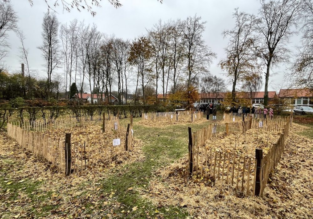 IMG_3530-Loegumkloster-Distriktsskole-Hyggeskoven-1