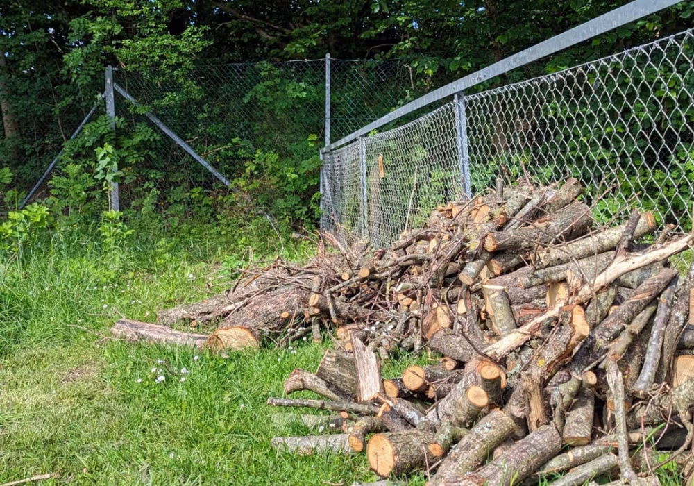 PXL_20240607_080228919