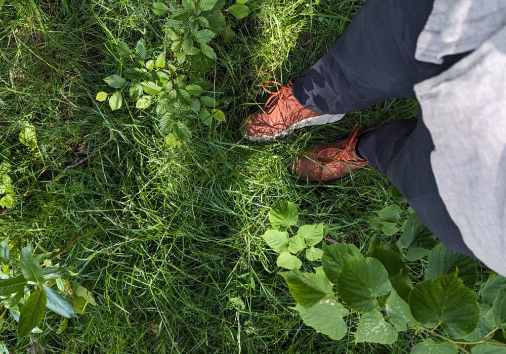 PXL_20240607_080422519