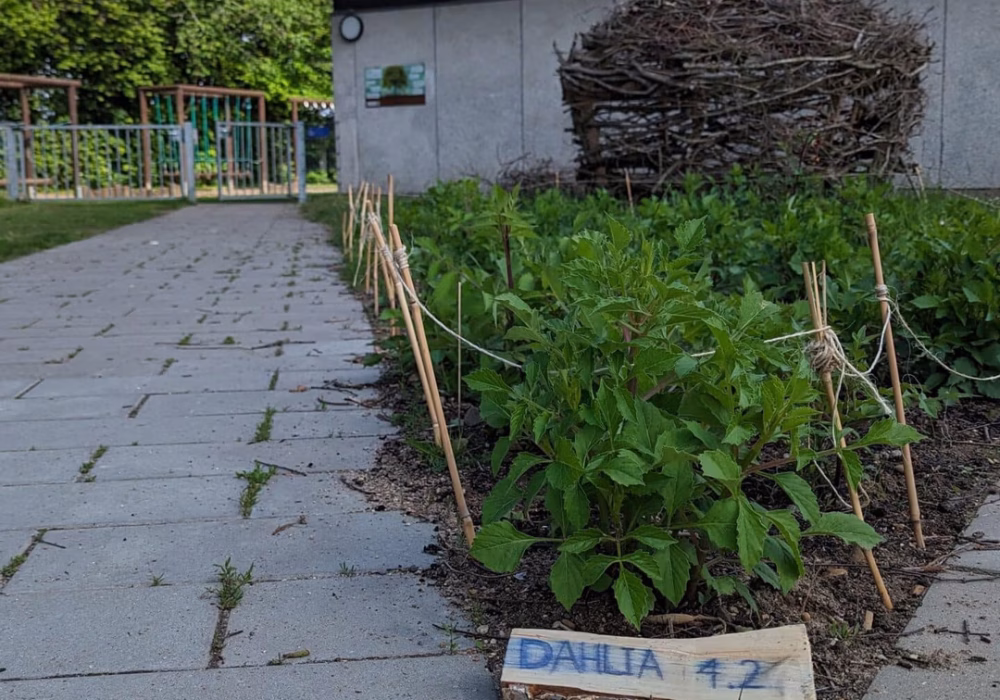 PXL_20240607_081004310