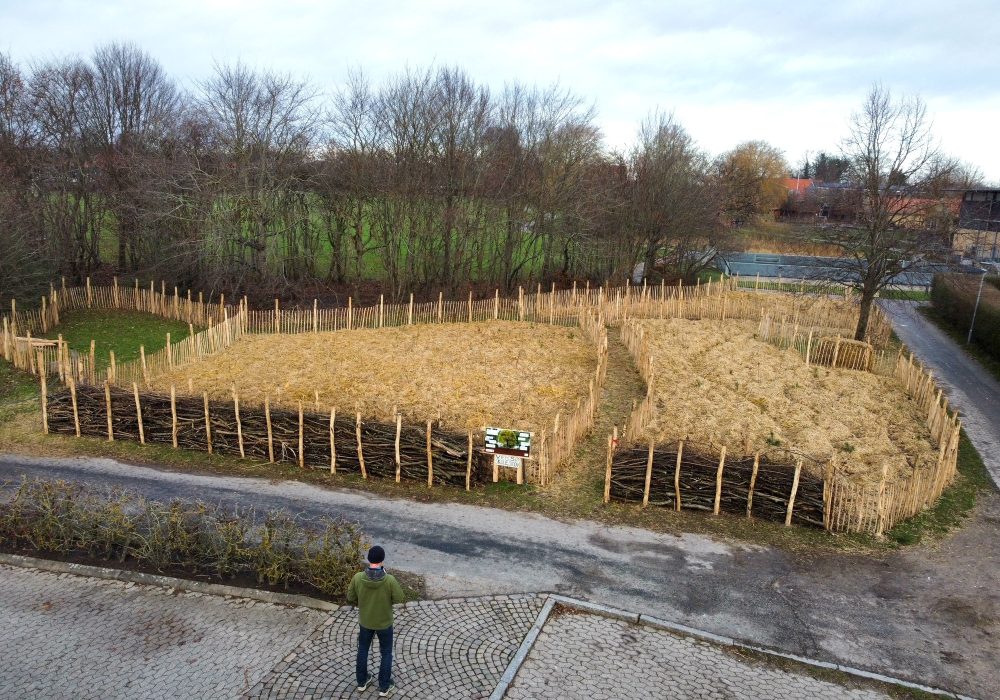 biodiversitetsskov hos 2030skov