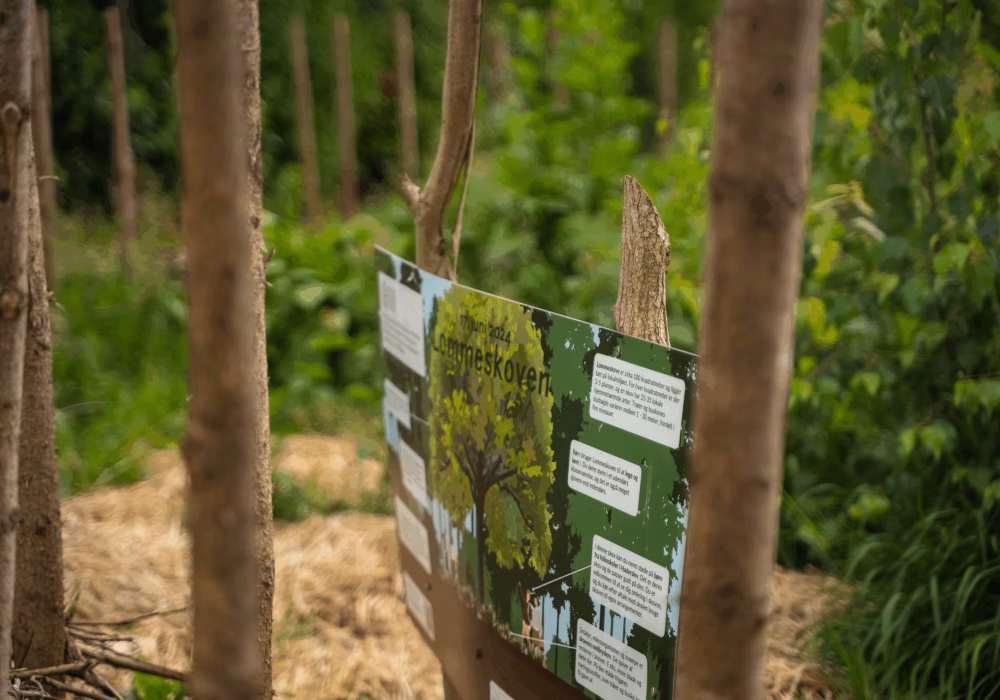 kløvermarkskolens lommeskov tæt på 2