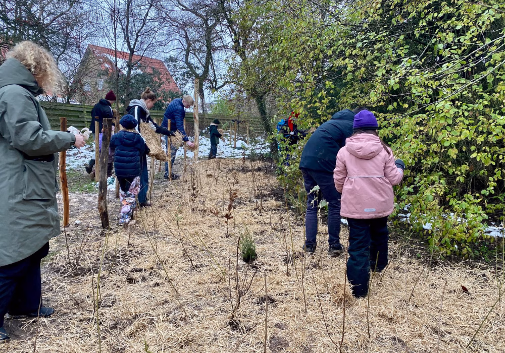 odense lommeskov sidste detaljer