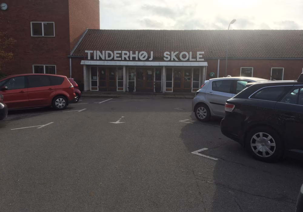 tinderhøj skoleskov og lommeskov