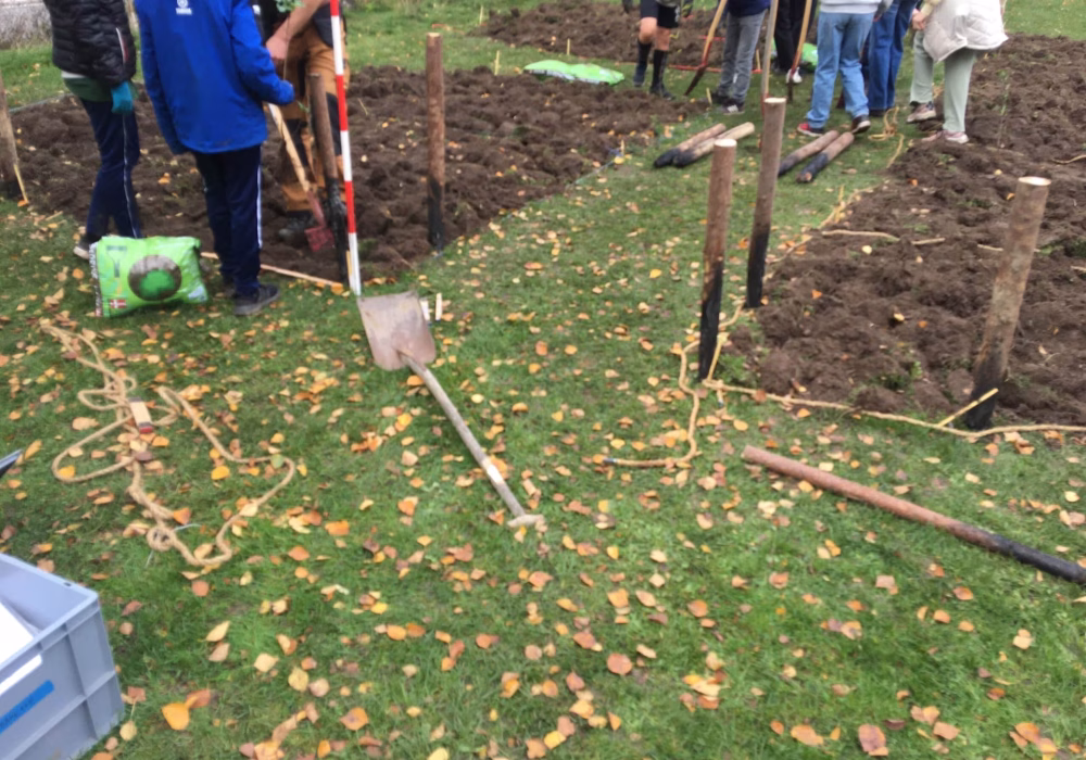 tinderhøj skoleskov 3