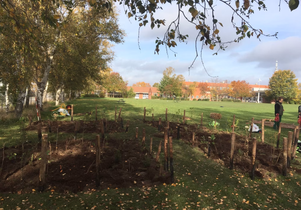 tinderhøj skoleskov 7